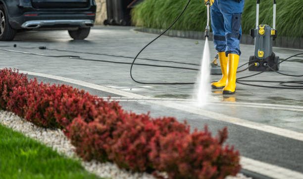 Best Building Exterior Washing  in El Jon, CA